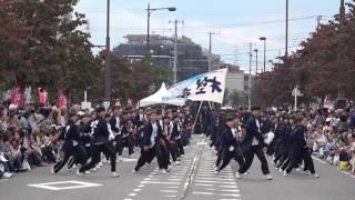 川越砂中学校　樫童＠2016　つるせよさこい