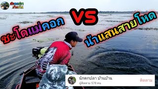 ตกปลา, ชะโดแม่คอก vs น้าแสนสายโหด