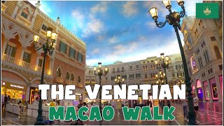 Macao Walking Tour 🇲🇴 The Venetian Macao, The Venetian, 威尼斯人酒店