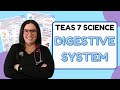 2024 ATI TEAS 7 Science Anatomy and Physiology Gastrointestinal System with Nurse Cheung