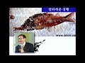 7. 화석의 증거 김명현 박사님 창조과학 강의