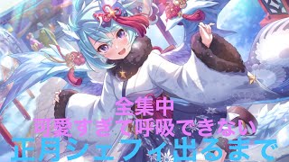 【プリコネR】正月シェフィ出るまでガチャ【ガチャ動画】