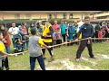 Tarik tali Sra sri-al ummah hijau vs kuning