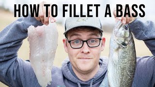 How to Fillet a Bass (Spotted Bass)