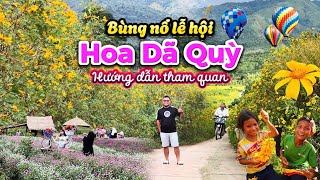 636. Gia Lai - Thiên đường có thật tại lễ hội hoa Dã Quỳ núi lửa Chư Đăng Ya 2024 ở phố núi Pleiku