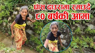 तराइको महल छोडेर गाउघरको घास दाउरामा रमाउदै ८० बर्षकी आमा || Happy Grandmother || Rabilal Poudel