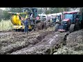 ensilage maïs 2012 manche