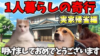 久々の実家帰省！#猫ミーム #猫マニ