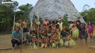 Amazonians enter the digital jungle (upper intermediate B2)