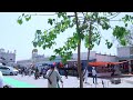 guruduwara jhanda sahib sardulgarh mansa hd video