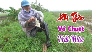 4 Thầy Trò Sư Phụ U70 Phi Thân Vồ Nhiều Chuột Đồng Giữa Trời Mưa