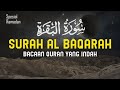 Surah Al Baqarah Dengan Suara Indah Membuat Hati Tenang - Ahmad Abdel Sattar