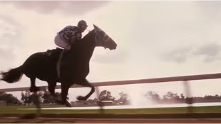 Secretariat Final Race Edit (this took me two days)