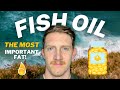 Fish Oil Explained | The Most Important Dietary Fat On The Planet