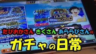 【たたかえドリームチーム】黄金世代の337 たぴおかさん きくさん あららびさんのガチャの日常【CAPTAINTSUBASADREAMTEAM】