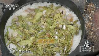 [舌尖上的中国3]钻林茶：以茶入菜 | CCTV纪录