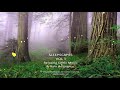 Relaxing Celtic Music & Rain Ambiance 8 hours