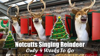 Singing Reindeer | Only 4 Weeks To Go | Notcutts Garden Centre