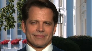 Scaramucci spars with Cuomo over Sessions