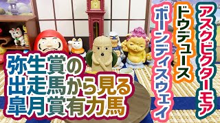 【道中の不利？】アスクビクターモアやっぱり強かったよなぁって弥生賞を見て思ったよね【ありましたっけ？】