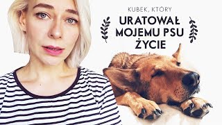 Mój Pies Zjadł Kawałek Kubka i TO URATOWAŁO MU ŻYCIE / Pan Lis