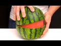 8 Amazing Ideas With Watermelons - Experiment at home