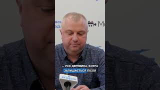 🪵 На КП МИКОЛАЇВСЬКІ ПАРКИ розповіли, що роблять зі СПИЛЯНОЮ ДЕРЕВИНОЮ