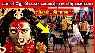 காளி உண்மையில் உயிர்பலியை விரும்புகிறாளா?  Significance of Animal Sacrifice for Goddess Kali