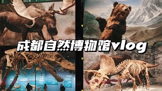 【沉浸式看展】超多恐龙化石，成都自然博物馆半日游vlog