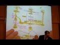 BIOLOGY; CELLULAR RESPIRATION (2012); Part 3 by Professor Fink.wmv