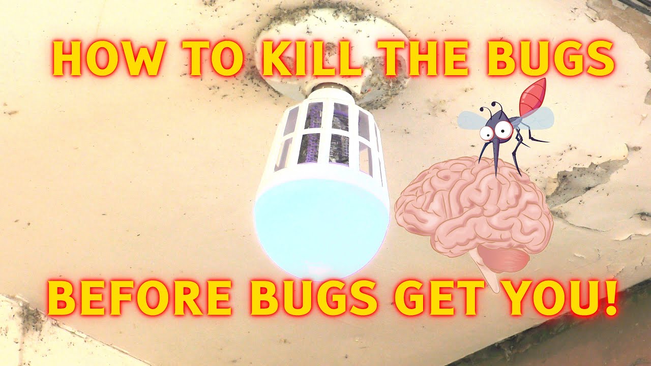 How To Keep Bugs Out Of Your House Prevention Kill Exterminate Prevent ...