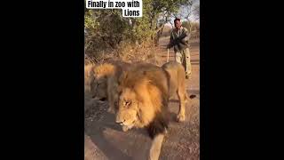 Peller finally went to Zoo in south Africa #video #funny #viralshort #viralvideo