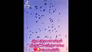 ڤیدۆی ستۆری مۆزیقای ڤارسی 😇❤✌!