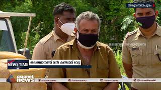 തിരുവനന്തപുരം നഗരത്തിൽ വൻ കഞ്ചാവ് വേട്ട | Ganja Seized In Thiruvananthapuram