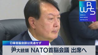 尹大統領 ＮＡＴＯ首脳会議 出席へ 日韓首脳会談は見通せず【WBS】（2022年6月10日）