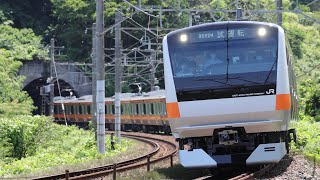 20200629 東海道本線9852M E233系0代 八トタT71編成 性能確認試運転