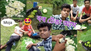 বৰ টেঙা আম 😝 mango vlog video 😀