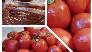 طول ما الطماطم في الفريزر انتي مرتاحة🍅🍅🍅🍅طريقة تفريز الطماطم من السنة للسنة🍅🍅🍅🍅🍅🍅