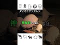 ダイオウグソクムシ【雑学】　 動物 雑学 shorts