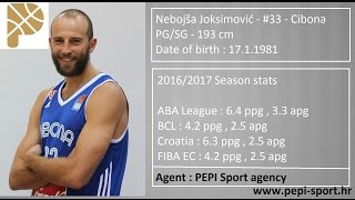 PEPI SPORT agency - Nebojsa Joksimovic - 16/17 Highlights