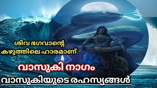 வாசுகி நாகம் பற்றி தெரியுமா?/வாசுகி நாகத்தின் சிறப்பு என்ன?/#vasuki nagam /