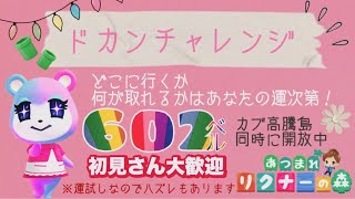 【あつ森】カブ価602.597ベル開放中！ｻﾝﾘｵ家具、新家具、などなどプレゼント企画！ﾄﾞｶﾝﾁｬﾚﾝｼﾞ！【初見大歓迎！】