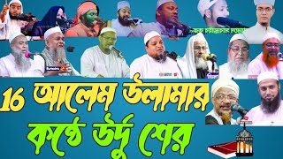 উর্দু শের 16 জন আলেম উলামার উর্দুতে শের প্রচার মুজাহিদ ইসলাম টিভি চ্যানেল