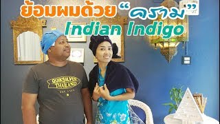 ครามย้อมผม Indian Indigo Hair Spa Phuket | เที่ยวมั้ยล่ะ