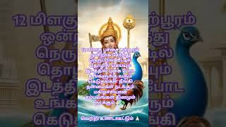 முருகன் வாக்கு🙏🏻#lordmuruga#tamilkadavul#bakthitv #murugan#hindugod#hindudeity #கந்தசஷ்டிவிரதம்#song