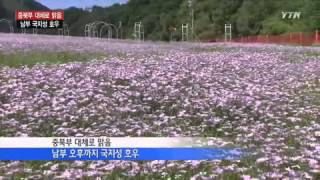 강원도로 막바지 휴가 떠나요 / YTN