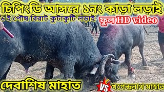 চিপিংডি আসরে ১নং কাড়া লড়াই।দেবাশিষ মাহাত 🆚 নগেন্দ্রনাথ মাহাত।।