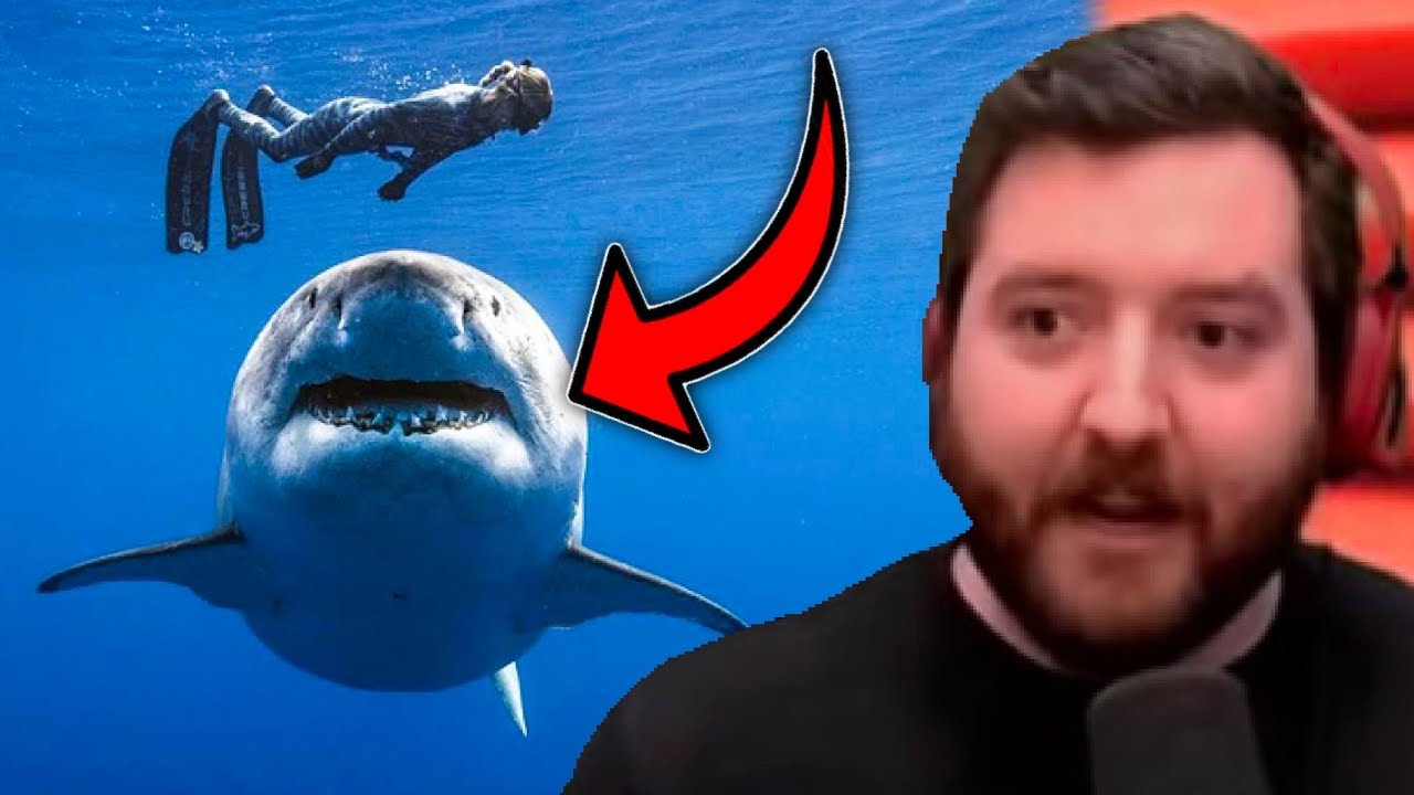 BRUTAL Shark Attack CAUGHT ON CAMERA In Australia | PKA Reacts - YouTube