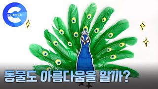 '한 컷의 과학' 자연의 예술가들