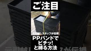 注目！PPテープでビチッと固定する方法を元引越しスタッフが伝授（農家さんは苗箱なんかにいかがでしょう）